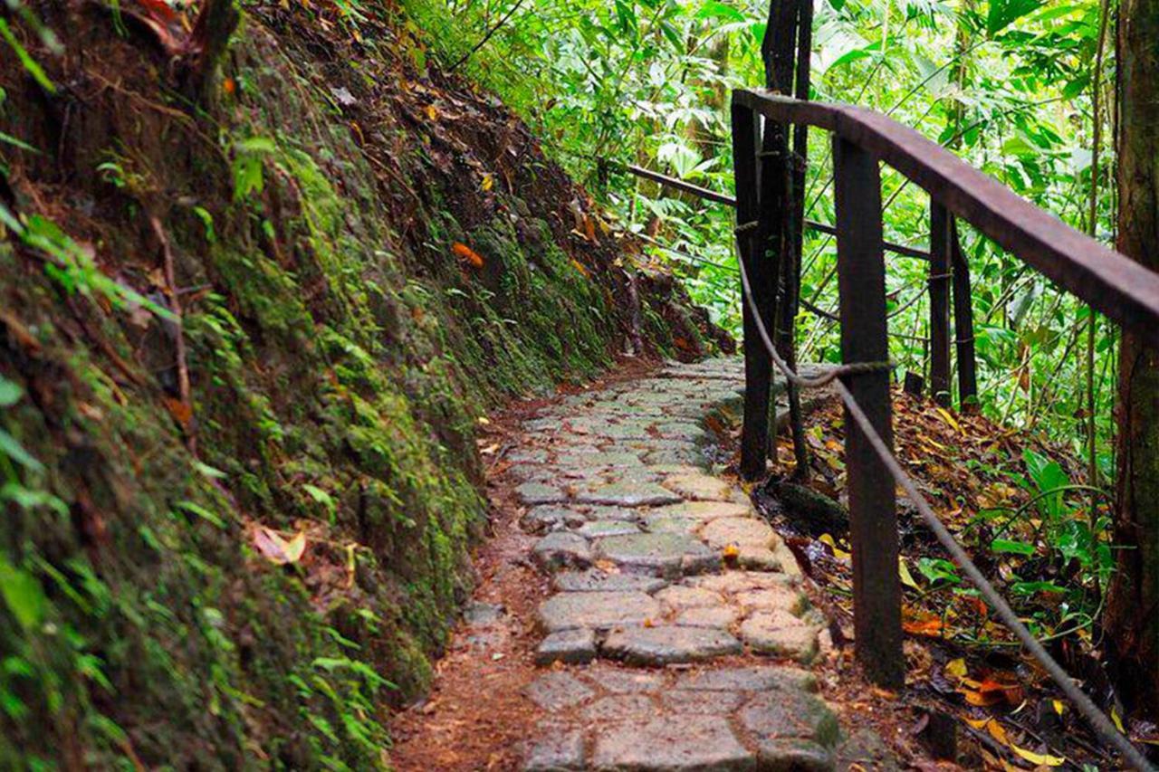 Casa Paraiso Tropical Parrita Eksteriør bilde