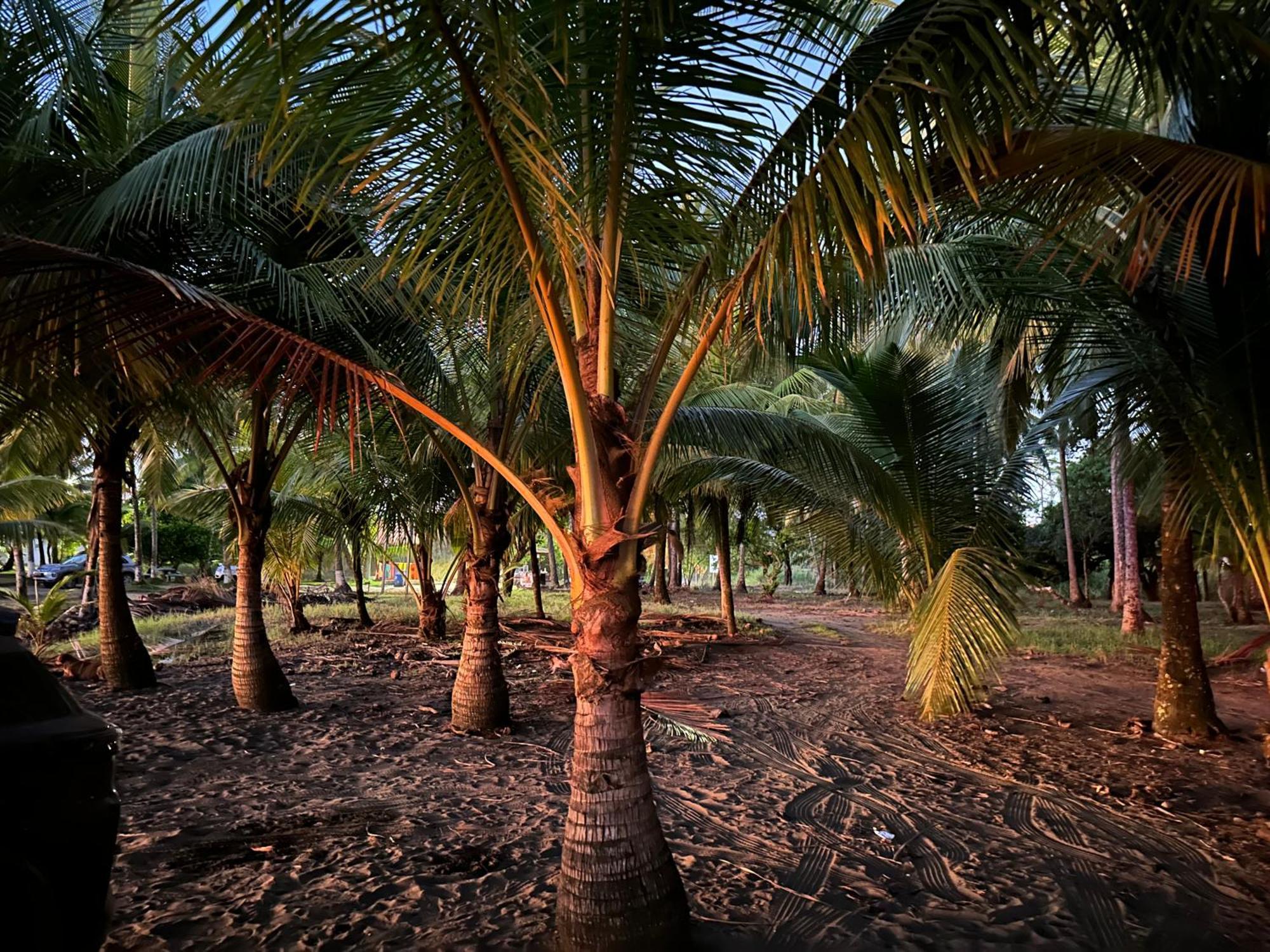 Casa Paraiso Tropical Parrita Eksteriør bilde